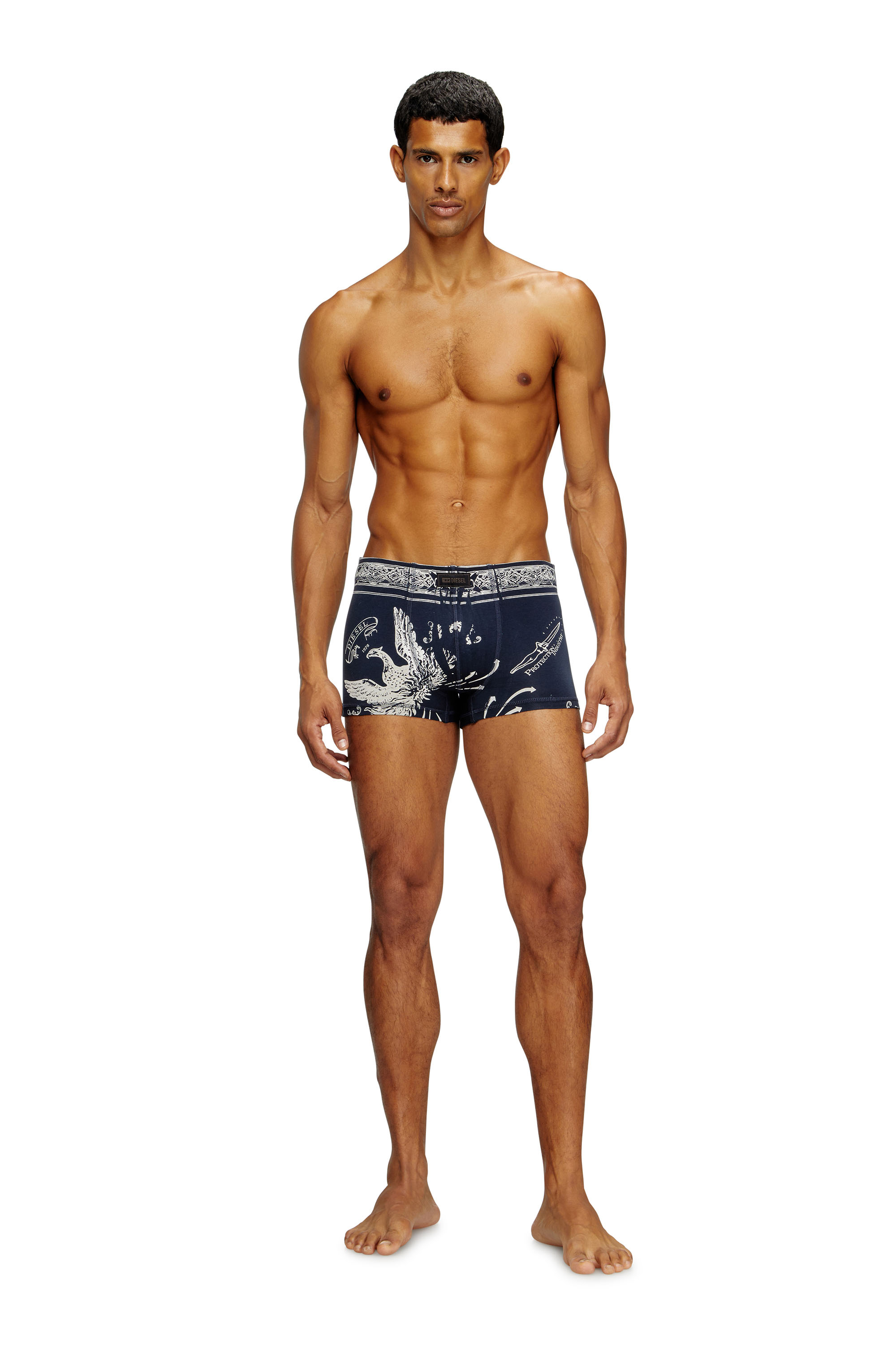 Diesel - DAMIEN-UTLT, Man's Boxer briefs with Phoenix print in Blue - 2