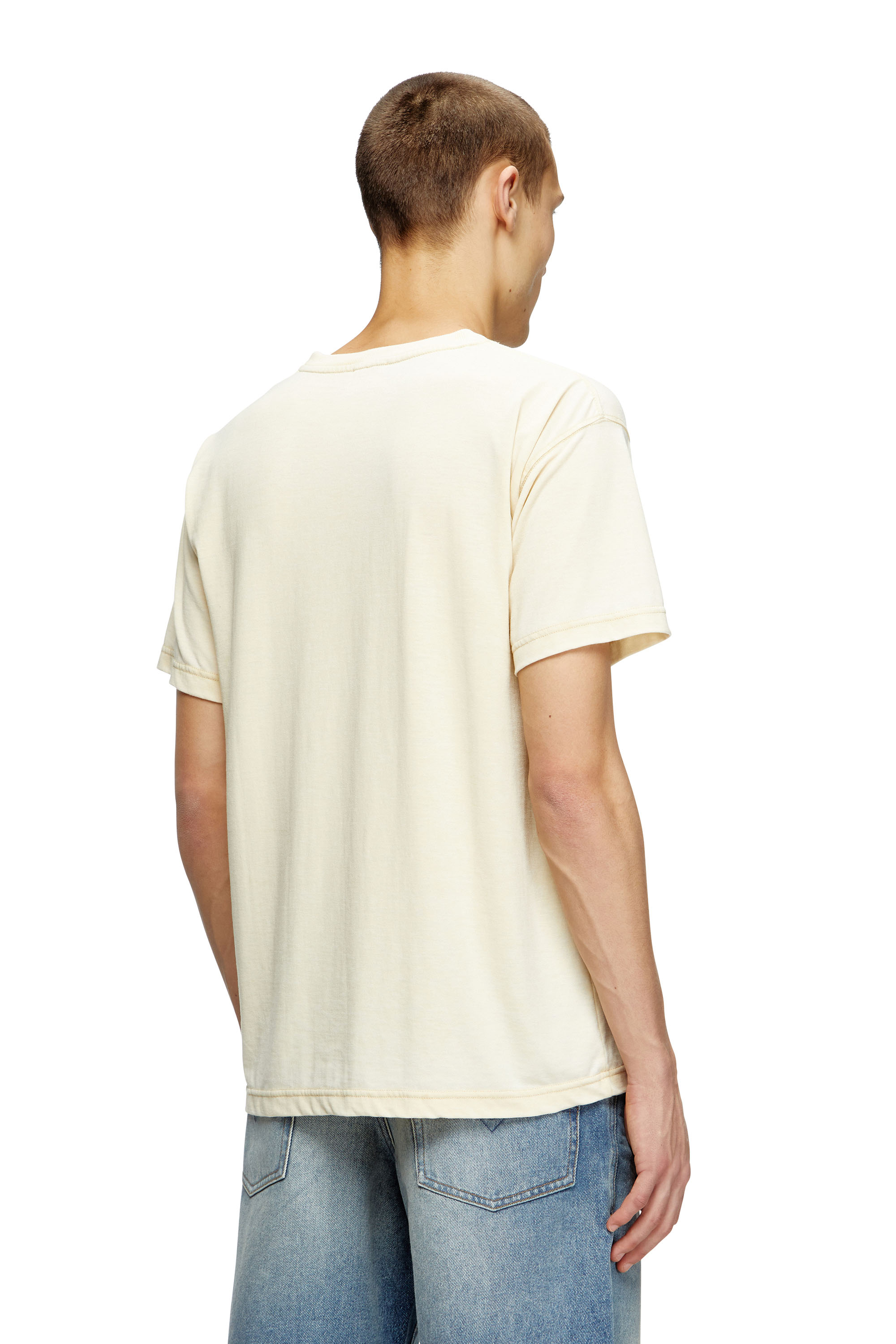 Diesel - T-NORM-T2, Man's Slogan T-shirt with burnout wash in Beige - 4