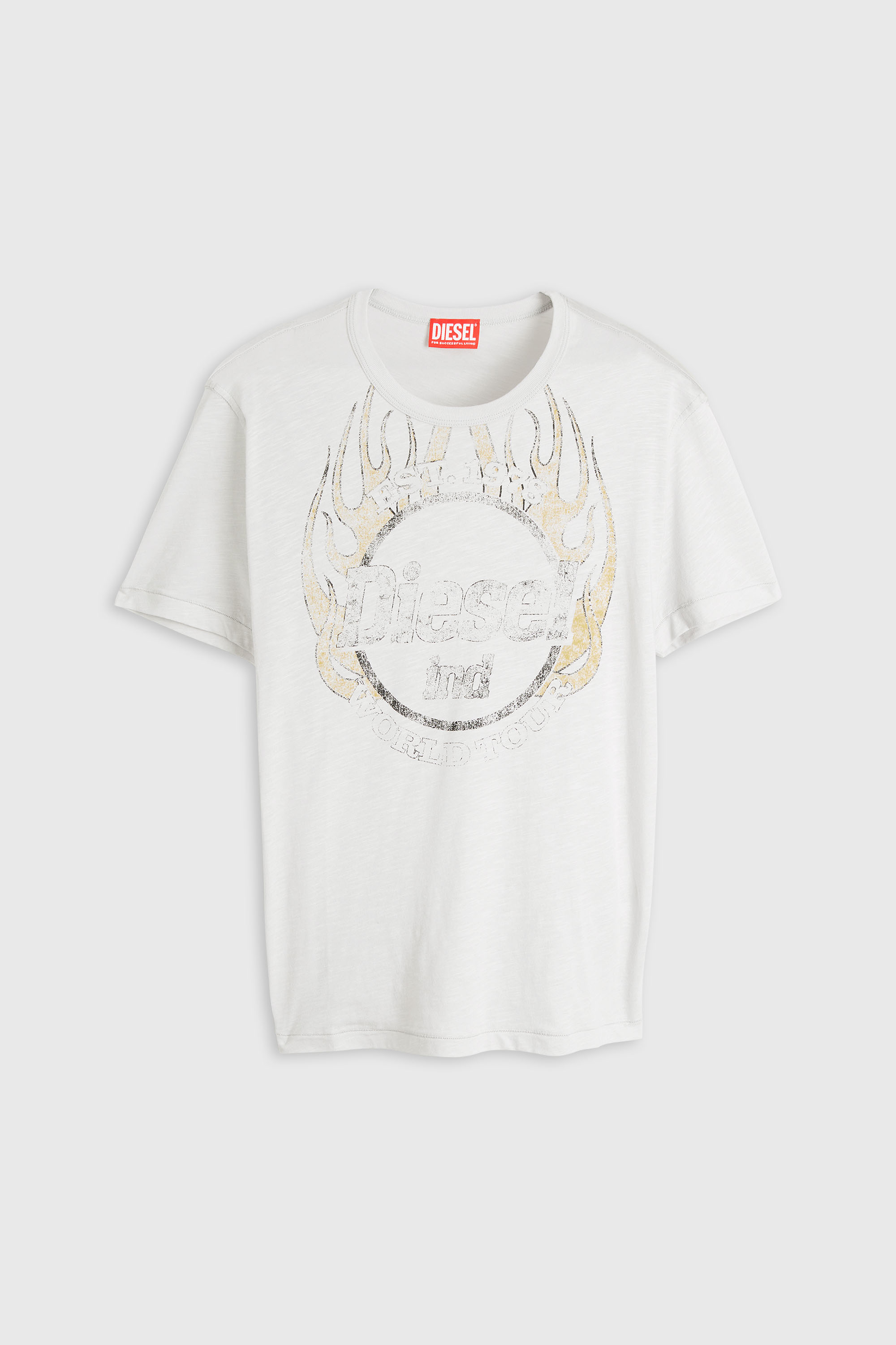 Diesel - T-NOTS, Man's T-shirt in slub-jersey with crack print in White - 2
