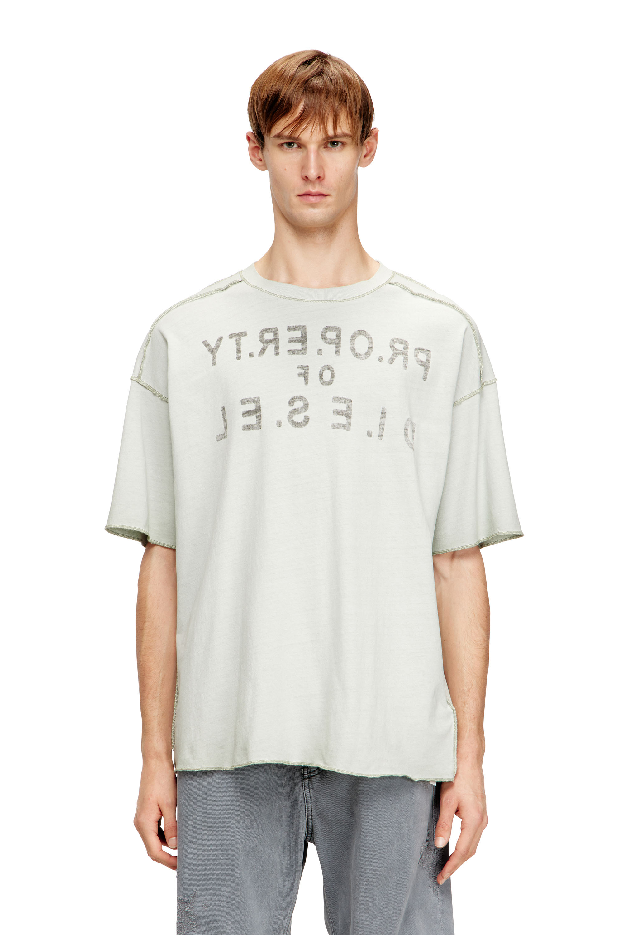 Diesel - T-LOOK, Man's Relaxed cotton T-shirt with front and back print in White/Grey - 2