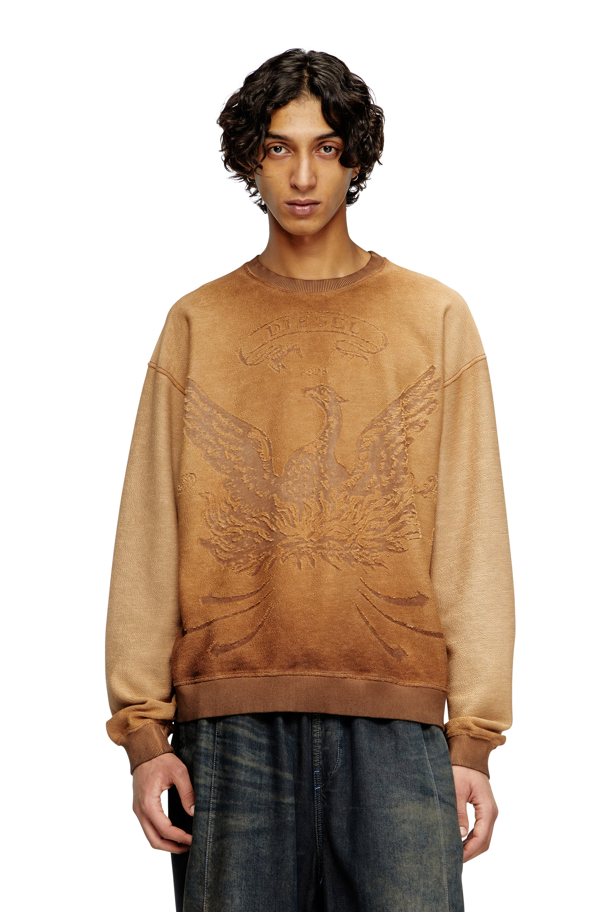 Diesel - S-ARON, Man's Faded sweatshirt with devoré Phoenix logo in Brown - 3