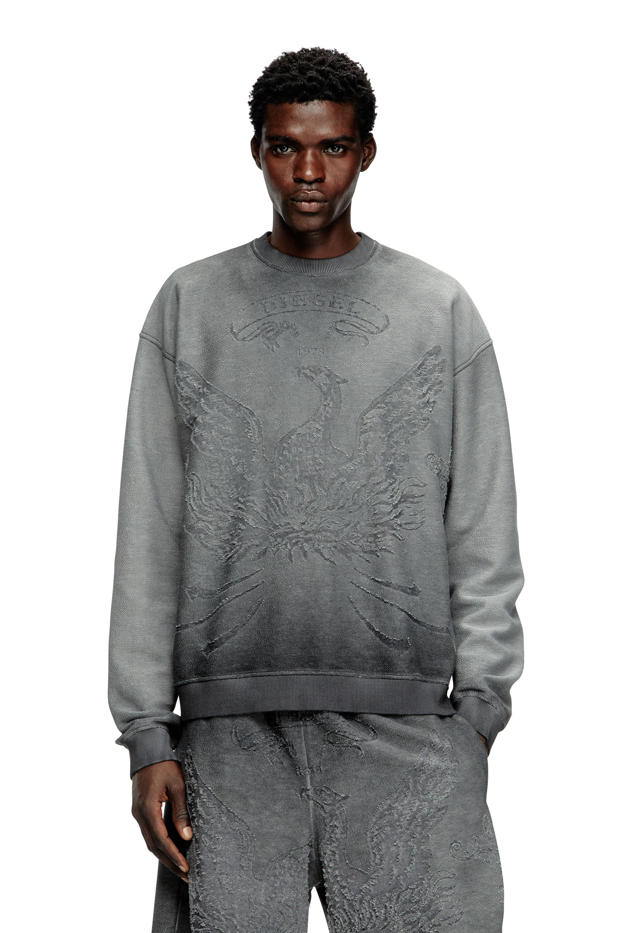 Diesel - S-ARON, Man's Faded sweatshirt with devoré Phoenix logo in Grey - 3