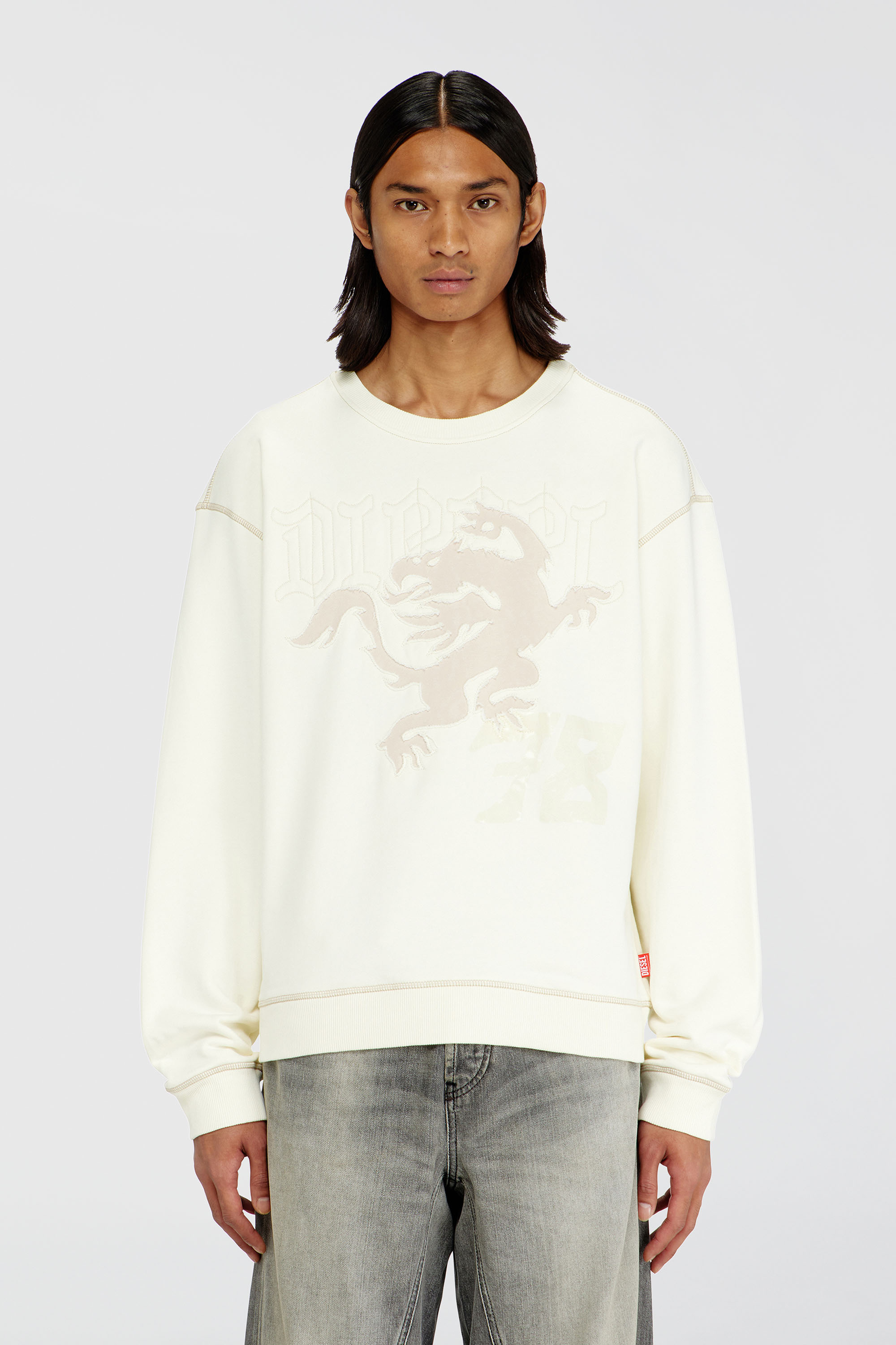 Diesel - S-NORM-AA3, Man's Sweatshirt with embroidery and print in White - 3